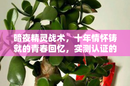 暗夜精灵战术,十年情怀铸就的青春回忆,实测认证的必看指南! 暗夜精灵战术,十年情怀铸就的青春回忆,实测认证的必看指南!