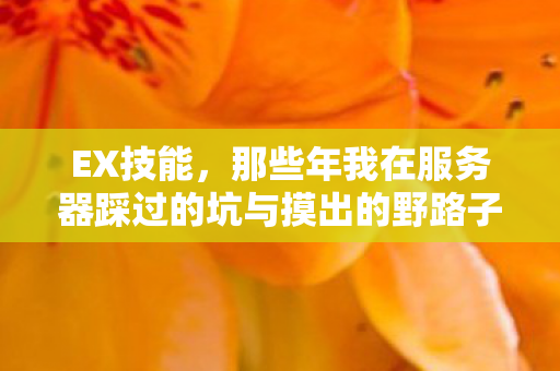 EX技能,那些年我在服务器踩过的坑与摸出的野路子 EX技能,那些年我在服务器踩过的坑与摸出的野路子
