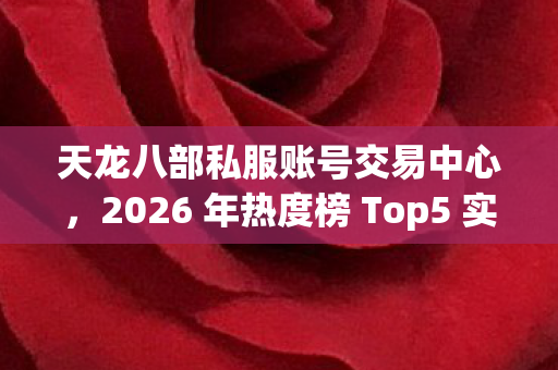 2026 年热度榜 Top5 实测图片