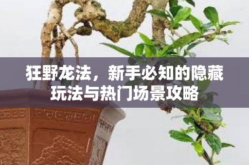 新手必知的隐藏玩法与热门场景攻略图片