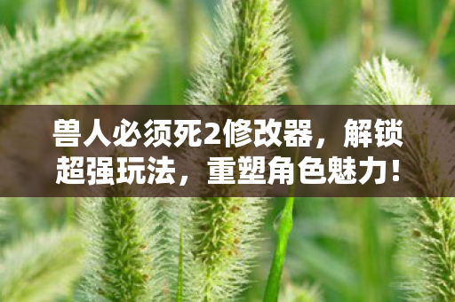 兽人必须死2修改器图片
