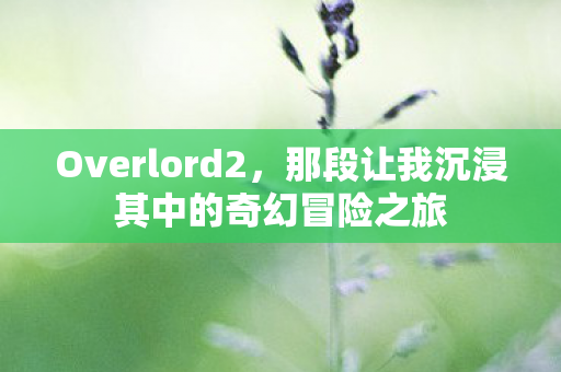 那段让我沉浸其中的奇幻冒险之旅图片