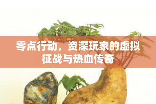 资深玩家的虚拟征战与热血传奇图片