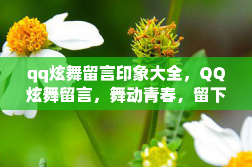qq炫舞留言印象大全，QQ炫舞留言，舞动青春，留下美好回忆