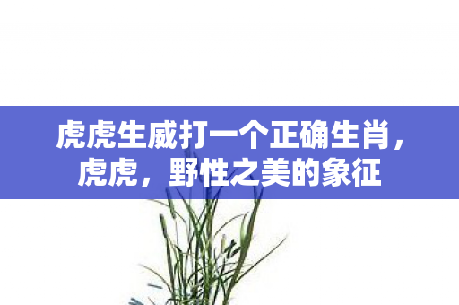 虎虎生威打一个正确生肖,虎虎,野性之美的象征 虎虎生威打一个正确生肖,虎虎,野性之美的象征