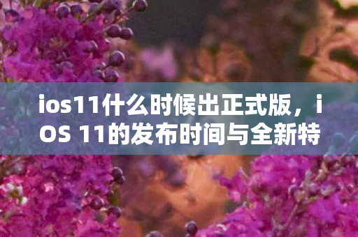 ios11什么时候出正式版，iOS 11的发布时间与全新特性解析