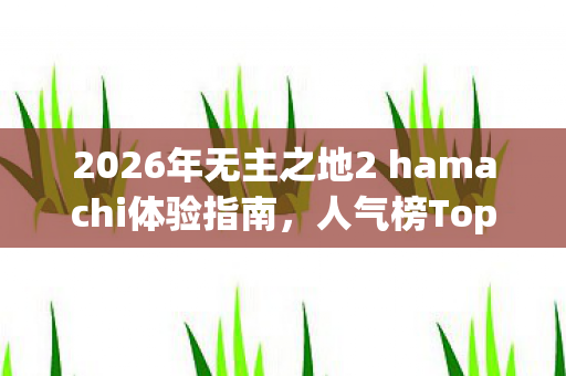 2026年无主之地2 hamachi体验指南图片