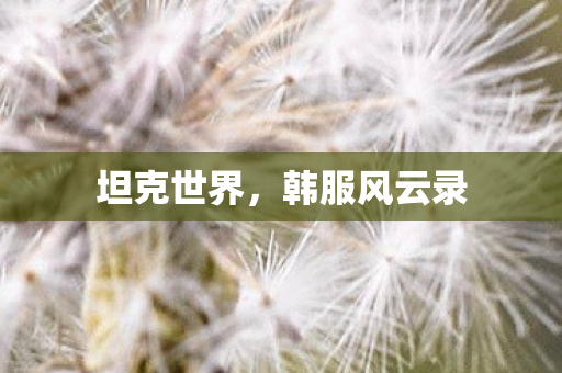 坦克世界,韩服风云录 坦克世界,韩服风云录