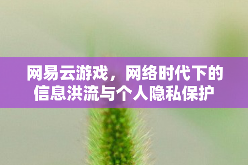 网易云游戏，网络时代下的信息洪流与个人隐私保护