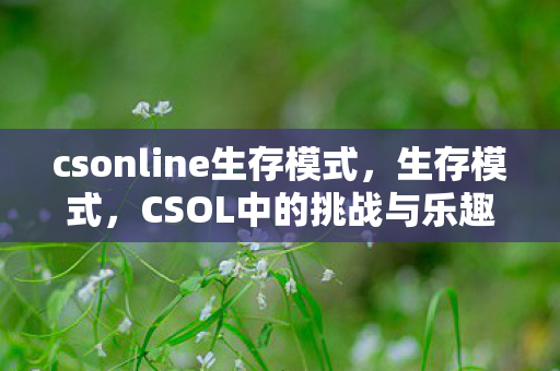 csonline生存模式,生存模式,CSOL中的挑战与乐趣 csonline生存模式,生存模式,CSOL中的挑战与乐趣