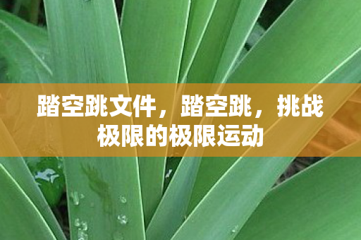 踏空跳文件,踏空跳,挑战极限的极限运动 踏空跳文件,踏空跳,挑战极限的极限运动