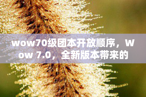 wow70级团本开放顺序，Wow 7.0，全新版本带来的变革与挑战