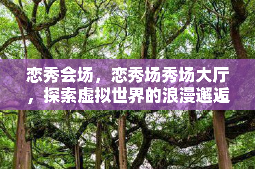 恋秀会场，恋秀场秀场大厅，探索虚拟世界的浪漫邂逅