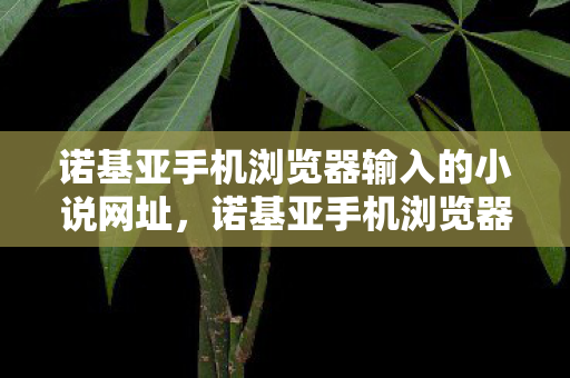 诺基亚手机浏览器输入的小说网址,诺基亚手机浏览器,经典再现,情怀依旧 诺基亚手机浏览器输入的小说网址,诺基亚手机浏览器,经典再现,情怀依旧