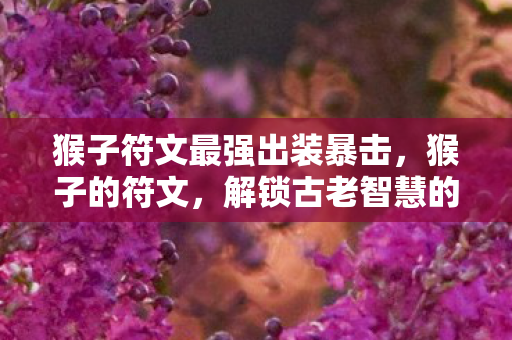 猴子符文最强出装暴击,猴子的符文,解锁古老智慧的神秘钥匙 猴子符文最强出装暴击,猴子的符文,解锁古老智慧的神秘钥匙