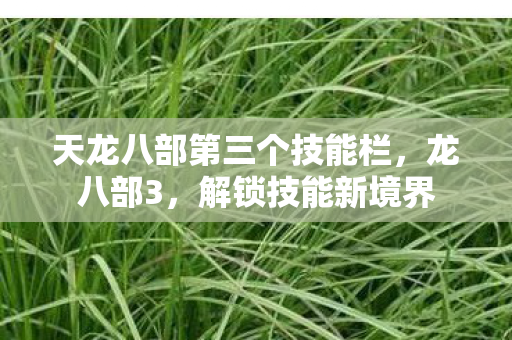 天龙八部第三个技能栏,龙八部3,解锁技能新境界 天龙八部第三个技能栏,龙八部3,解锁技能新境界