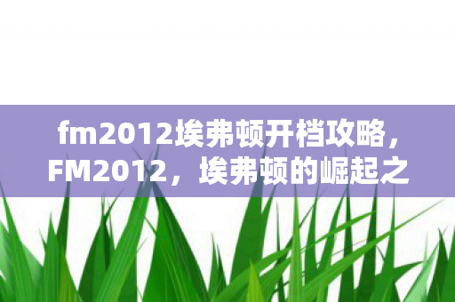 fm2012埃弗顿开档攻略,FM2012,埃弗顿的崛起之路 fm2012埃弗顿开档攻略,FM2012,埃弗顿的崛起之路