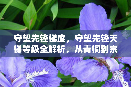 守望先锋梯度，守望先锋天梯等级全解析，从青铜到宗师，你了解多少？