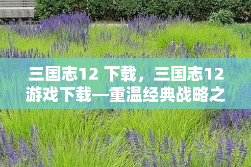 三国志12 下载，三国志12游戏下载—重温经典战略之作