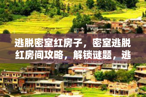 逃脱密室红房子，密室逃脱红房间攻略，解锁谜题，逃离神秘空间