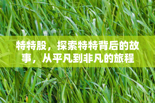 特特股,探索特特背后的故事,从平凡到非凡的旅程 特特股,探索特特背后的故事,从平凡到非凡的旅程