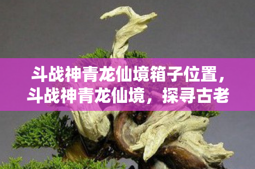 斗战神青龙仙境箱子位置,斗战神青龙仙境,探寻古老神话的奇幻之旅 斗战神青龙仙境箱子位置,斗战神青龙仙境,探寻古老神话的奇幻之旅
