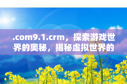 .com9.1.crm,探索游戏世界的奥秘,揭秘虚拟世界的无限可能 .com9.1.crm,探索游戏世界的奥秘,揭秘虚拟世界的无限可能