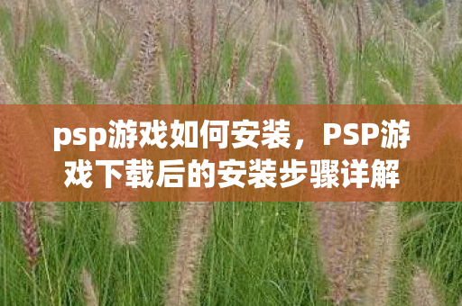 psp游戏如何安装，PSP游戏下载后的安装步骤详解
