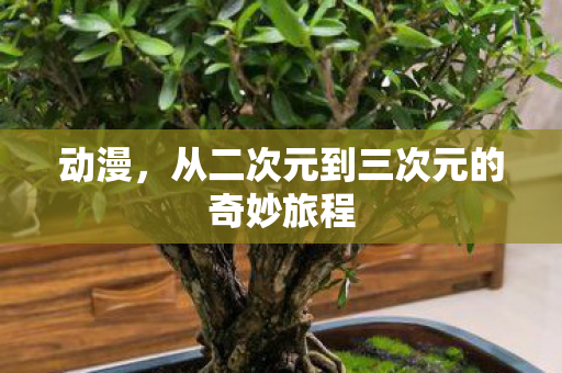 动漫，从二次元到三次元的奇妙旅程