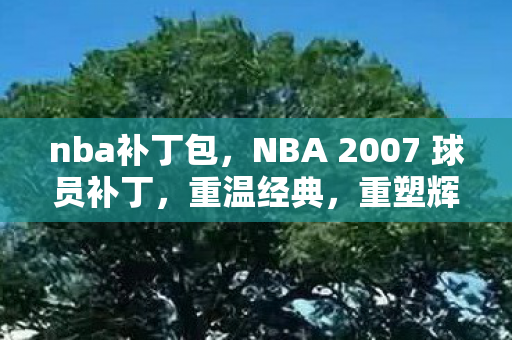 nba补丁包,NBA 2007 球员补丁,重温经典,重塑辉煌 nba补丁包,NBA 2007 球员补丁,重温经典,重塑辉煌