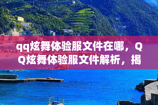 qq炫舞体验服文件在哪，QQ炫舞体验服文件解析，揭秘游戏背后的秘密