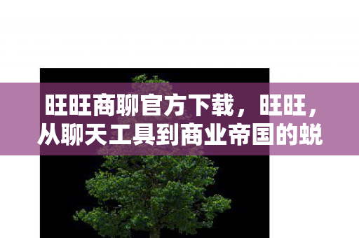 旺旺商聊官方下载,旺旺,从聊天工具到商业帝国的蜕变 旺旺商聊官方下载,旺旺,从聊天工具到商业帝国的蜕变