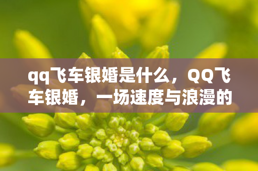 qq飞车银婚是什么，QQ飞车银婚，一场速度与浪漫的双重纪念