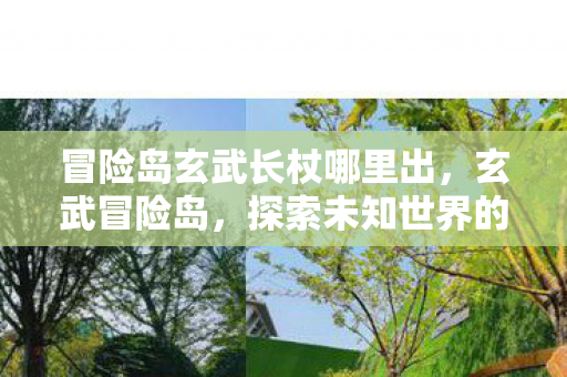 冒险岛玄武长杖哪里出，玄武冒险岛，探索未知世界的奇幻之旅
