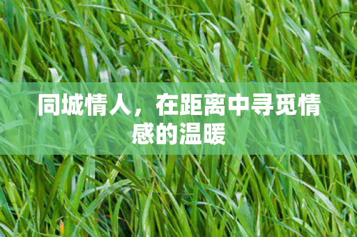 同城情人，在距离中寻觅情感的温暖