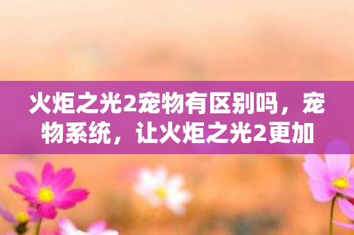 火炬之光2宠物有区别吗，宠物系统，让火炬之光2更加有趣的伙伴