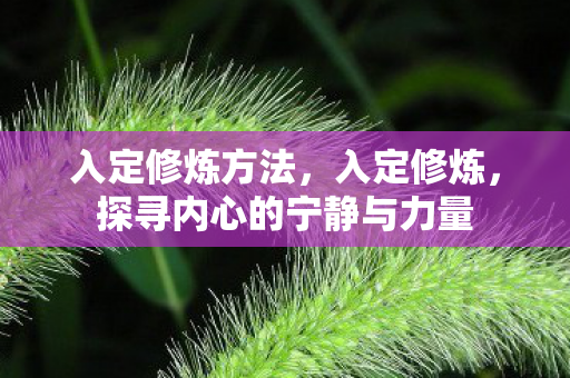 入定修炼方法，入定修炼，探寻内心的宁静与力量