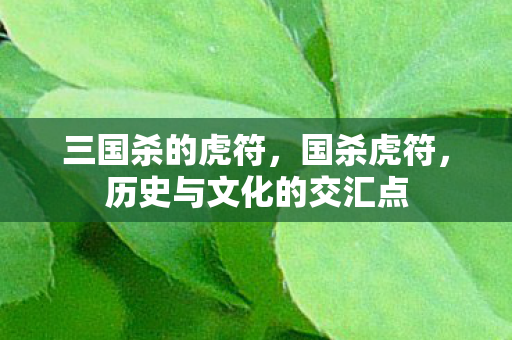 三国杀的虎符，国杀虎符，历史与文化的交汇点