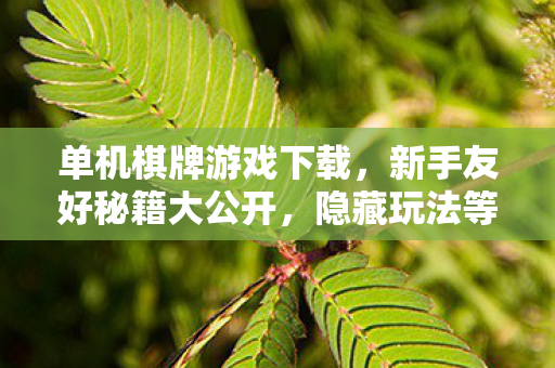 单机棋牌游戏下载,新手友好秘籍大公开,隐藏玩法等你挖掘! 单机棋牌游戏下载,新手友好秘籍大公开,隐藏玩法等你挖掘!