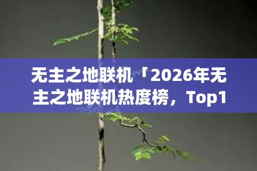 无主之地联机「2026年无主之地联机热度榜,Top10神服大揭秘,躲过80%新手雷区」 无主之地联机「2026年无主之地联机热度榜,Top10神服大揭秘,躲过80%新手雷区」