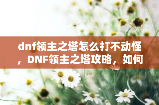 dnf领主之塔怎么打不动怪,DNF领主之塔攻略,如何轻松击败各层Boss dnf领主之塔怎么打不动怪,DNF领主之塔攻略,如何轻松击败各层Boss