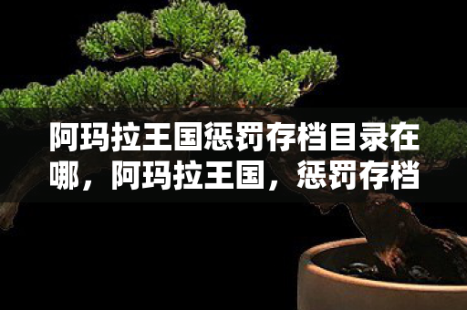 阿玛拉王国惩罚存档目录在哪，阿玛拉王国，惩罚存档位置详解
