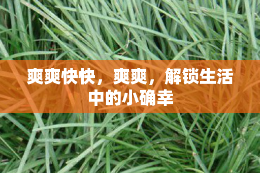 爽爽快快,爽爽,解锁生活中的小确幸 爽爽快快,爽爽,解锁生活中的小确幸