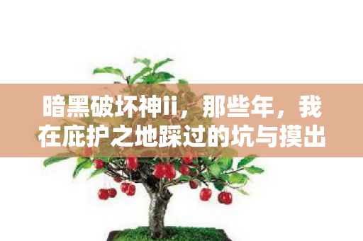 暗黑破坏神ii,那些年,我在庇护之地踩过的坑与摸出的招 暗黑破坏神ii,那些年,我在庇护之地踩过的坑与摸出的招