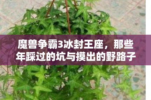 魔兽争霸3冰封王座,那些年踩过的坑与摸出的野路子 魔兽争霸3冰封王座,那些年踩过的坑与摸出的野路子