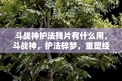 斗战神护法残片有什么用,斗战神,护法碎梦,重塑经典 斗战神护法残片有什么用,斗战神,护法碎梦,重塑经典