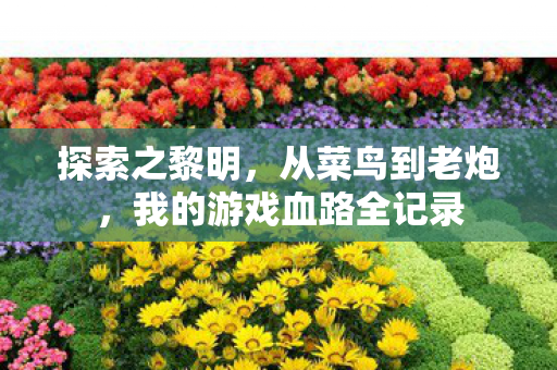 探索之黎明，从菜鸟到老炮，我的游戏血路全记录