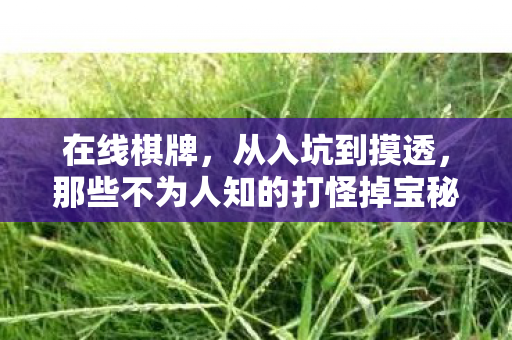 在线棋牌,从入坑到摸透,那些不为人知的打怪掉宝秘籍 在线棋牌,从入坑到摸透,那些不为人知的打怪掉宝秘籍