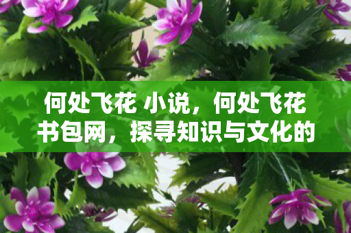 何处飞花 小说，何处飞花书包网，探寻知识与文化的宝藏