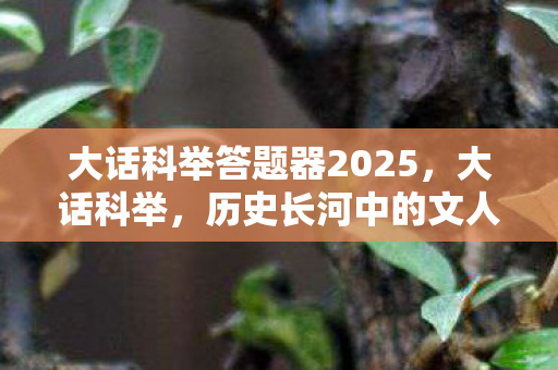 大话科举答题器2025，大话科举，历史长河中的文人逐梦之旅